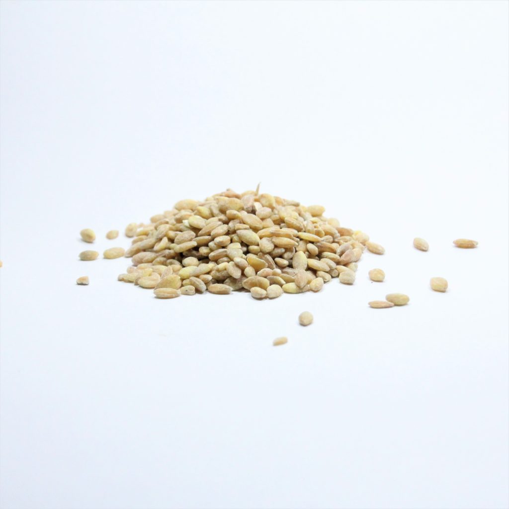 farro monococco